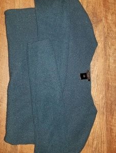 Ann Taylor Factory sweater